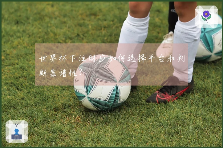 世界杯下注时应如何选择平台和判断靠谱性？