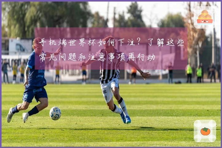 手机端世界杯如何下注？了解这些常见问题和注意事项再行动
