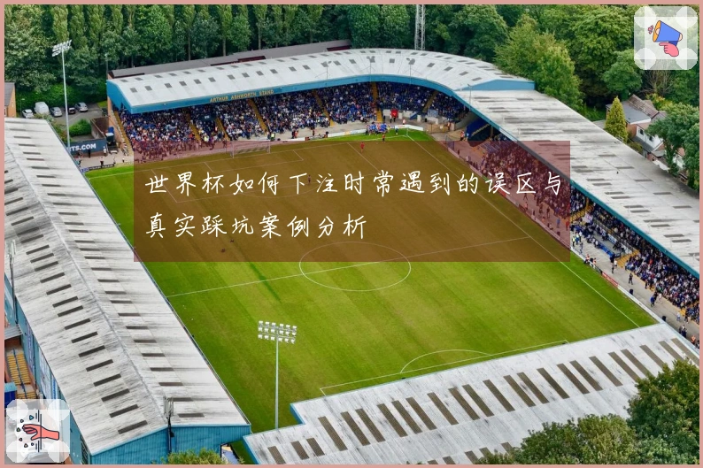 世界杯如何下注时常遇到的误区与真实踩坑案例分析